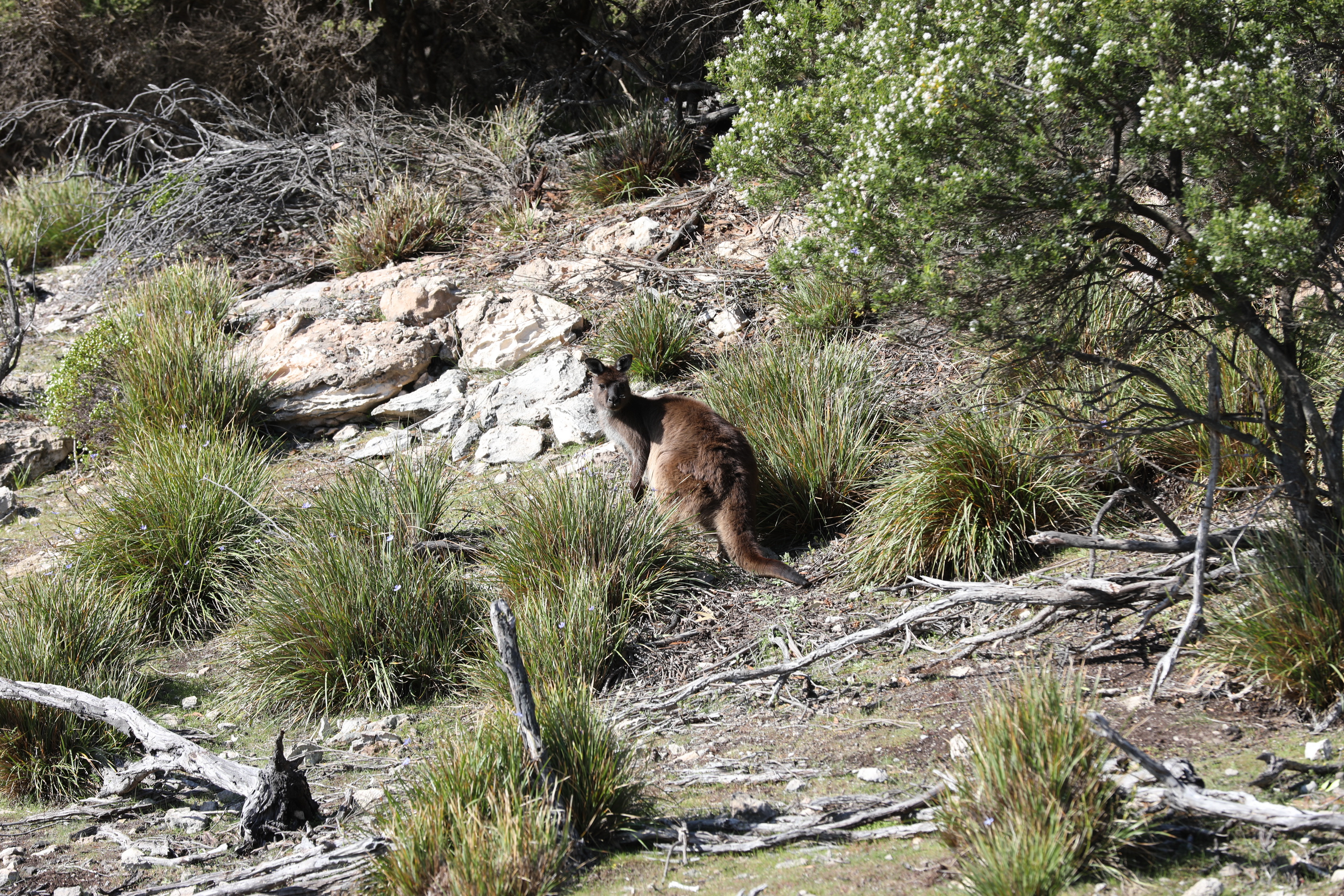 2019 09 30 15 16 38 Canon EOS 5D Mark IV 0019